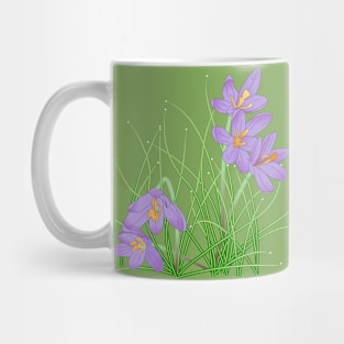 Crocus Flowers on Soft Green Mug